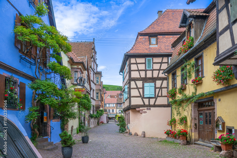 Fototapeta premium Colmar is a city and commune in the Haut-Rhin department and Alsace region of north-eastern France.