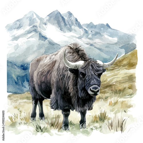 A watercolor of a yak grazing in the highlands, isolated on a white background. Yak vector.
