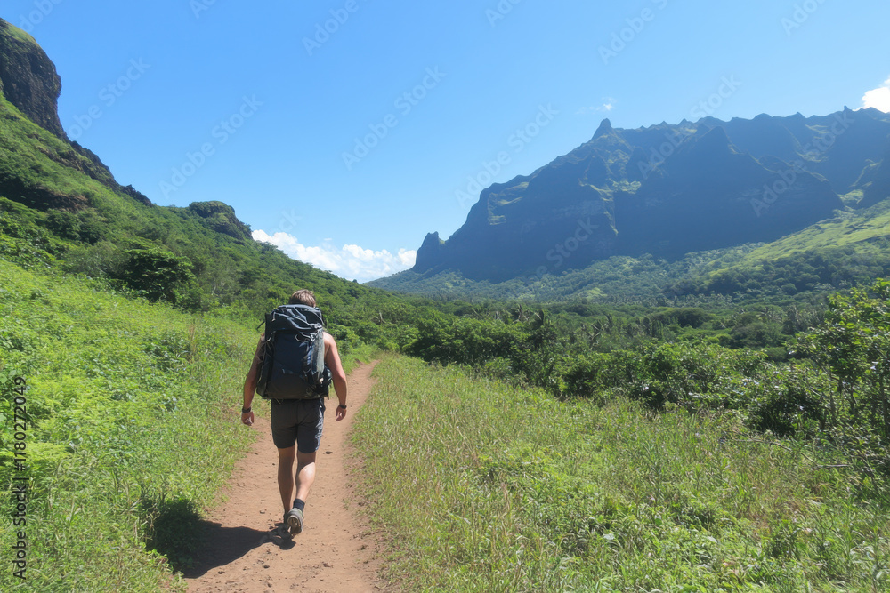 Fototapeta premium A man is walking on a dirt path in a lush green field