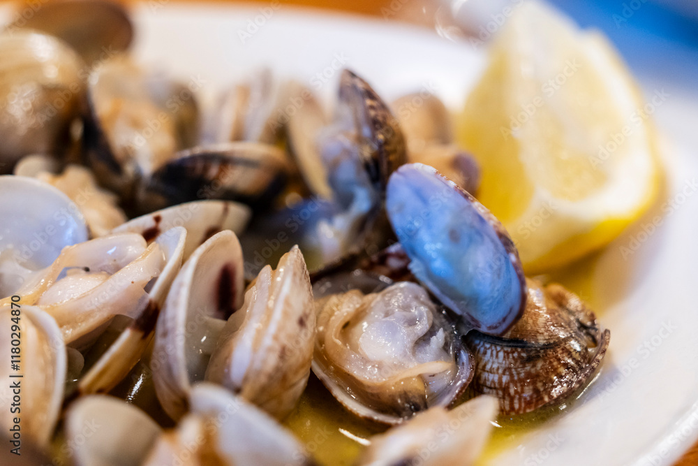 Clams from Galicia, La Coruña, (Corunna), Galicia, spain