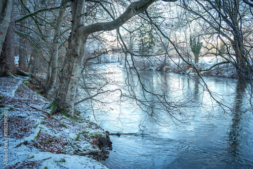 Snow-Covered Forest In Bavaria, Germany: A Serene Winter Scene With Tall Trees, Frosted Branches,