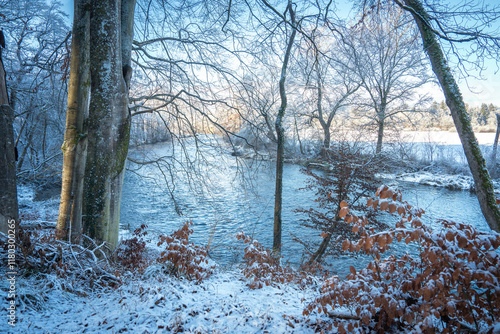 Snow-Covered Forest In Bavaria, Germany: A Serene Winter Scene With Tall Trees, Frosted Branches,