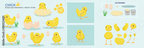 Cute Chick, chicken, hatching from egg, character, vector set collection of poses ready to animate. 