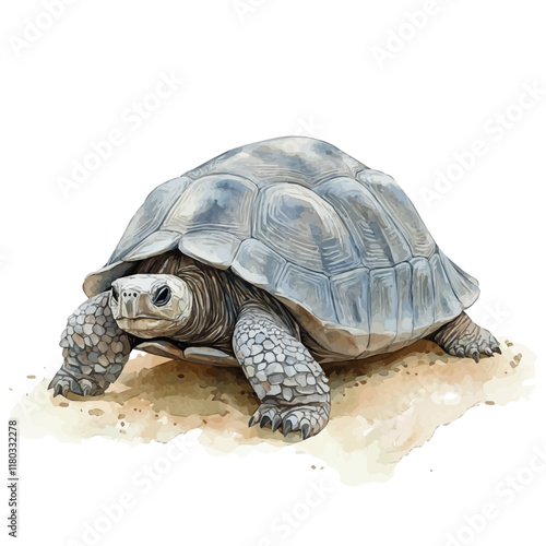 A watercolor clipart of a tortoise crawling slowly on the ground, isolated on a white background. Tortoise vector.
