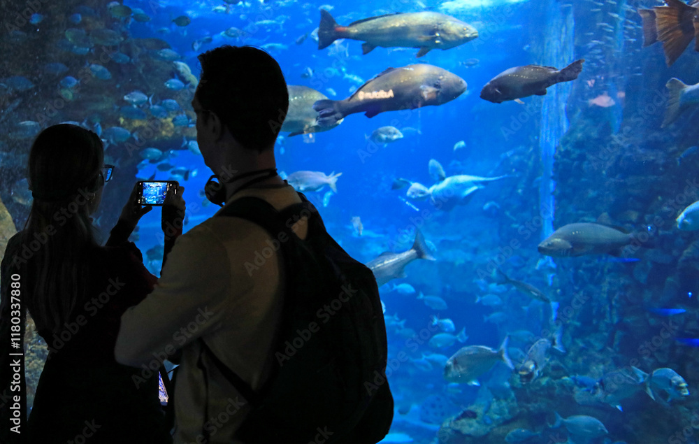 Fototapeta premium pareja mirando los peces haciendo fotografias con el movil en el aquarium de donostia san sebastian 4M0A4793-as25