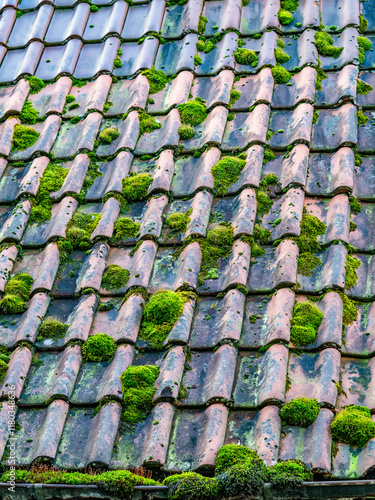 Moos auf dem Dach eines ungeheizten Hauses photo