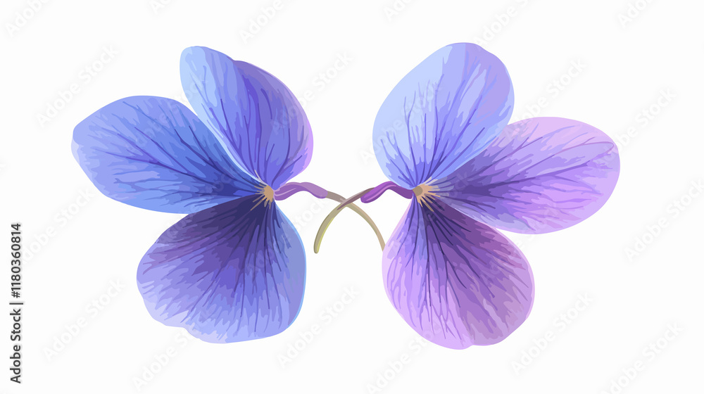 Fototapeta premium Wild Blue Violet Flower Vector Illustration with Transparent Background