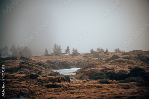 Brocken/Harz photo