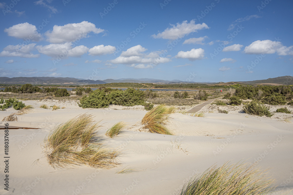 The beautiful beach of Is Solinas in Sardinia with its high white dunes on a windy day