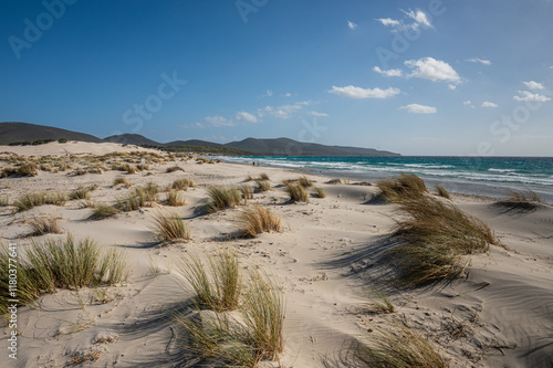 Obraz na płótnie The beautiful beach of Is Solinas in Sardinia with its high white dunes on a windy day w salonie