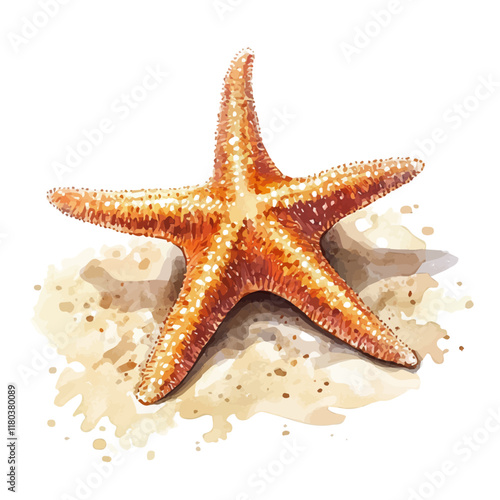 A watercolor of a starfish resting on the ocean floor, isolated on a white background. Starfish vector.
