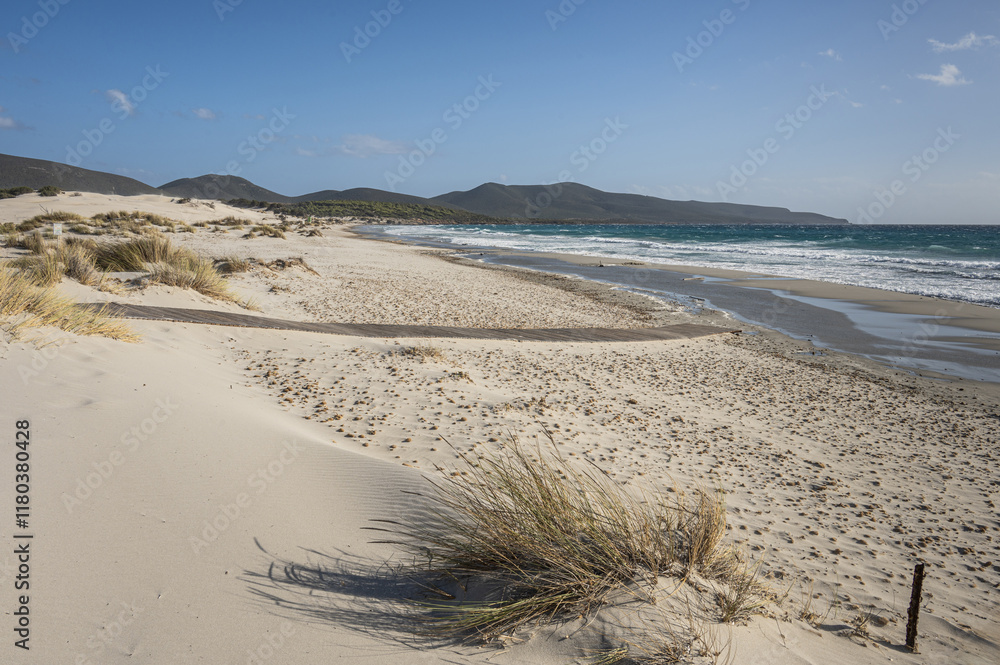 The beautiful beach of Is Solinas in Sardinia with its high white dunes on a windy day