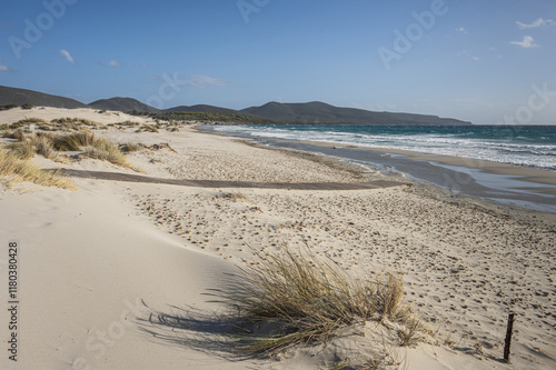 Obraz na płótnie The beautiful beach of Is Solinas in Sardinia with its high white dunes on a windy day w salonie