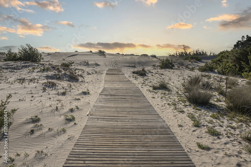 Obraz na płótnie The path to the beautiful beach of Is Solinas in Sardinia with its high white dunes on sunset w salonie
