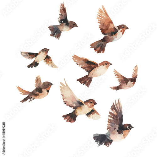 A watercolor drawing of a sparrow flock flying through the sky, isolated on a white background. Sparrow vector.
