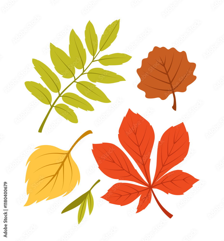 A collection of colorful autumn leaves in red, yellow, green, and brown on a white background. Creative illustration, perfect for seasonal concepts. Vector illustration. A collection of colorful autumn leaves in red, yellow, green, and brown on a white background. Creative illustration, perfect for seasonal concepts. Vector illustration.