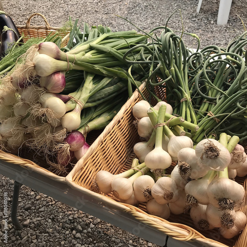 Vegetables onion garlic market farmer oignon ail marché fermier légume oignon ail organique bio photo