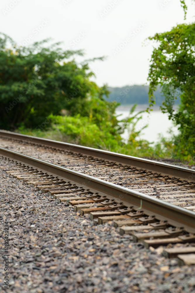 Obraz premium railroad tracks along the river with tree