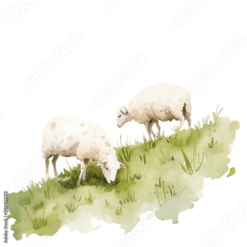 A watercolor painting of sheep grazing on a hillside, isolated on a white background. Sheep vector.
