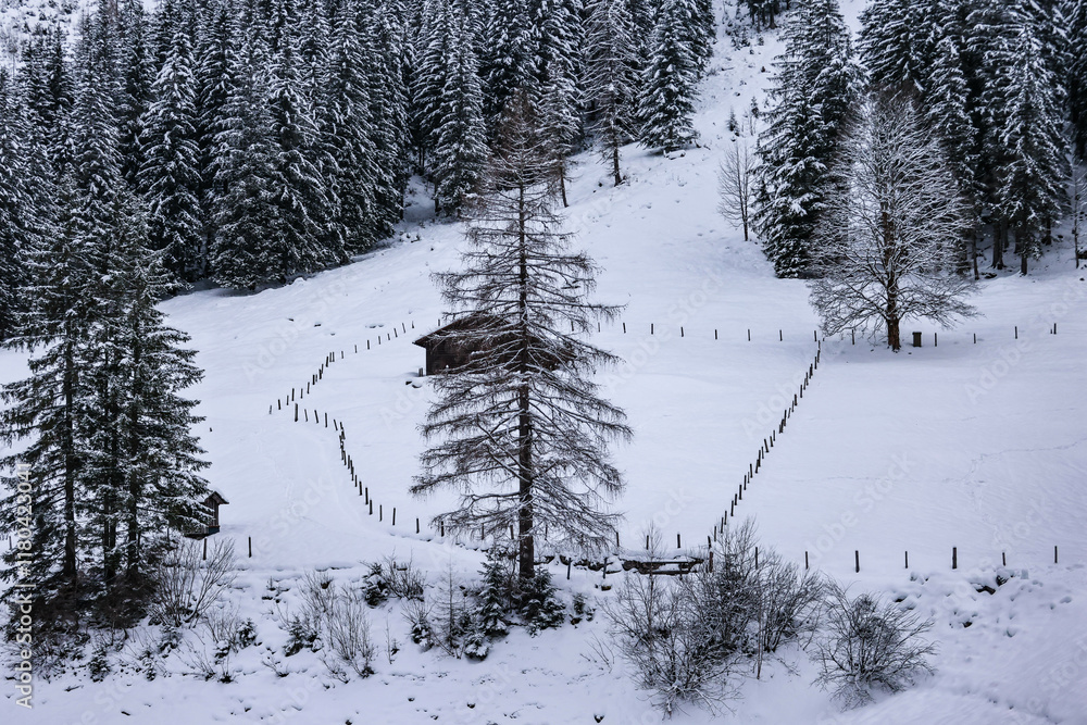 Fototapeta premium Snow in Austria