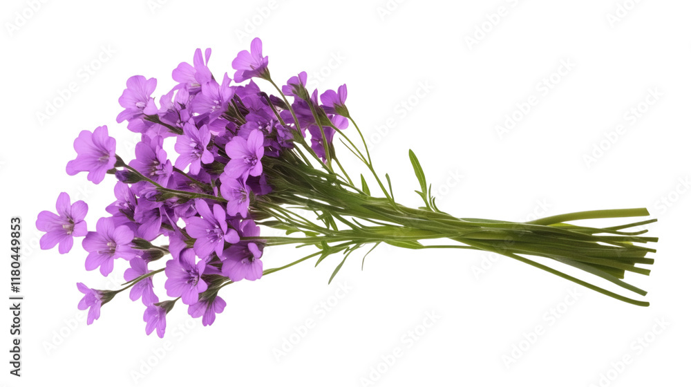 Naklejka premium Purple flower bouquet illustration isolated on white background