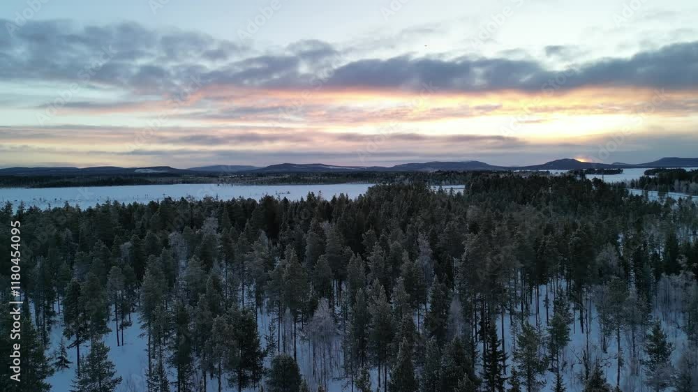 Aerial view of winter landscapes with snow-covered forest in Finland