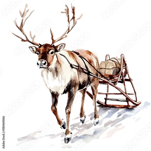 A watercolor drawing of a reindeer pulling a sled, isolated on a white background. Reindeer vector.
