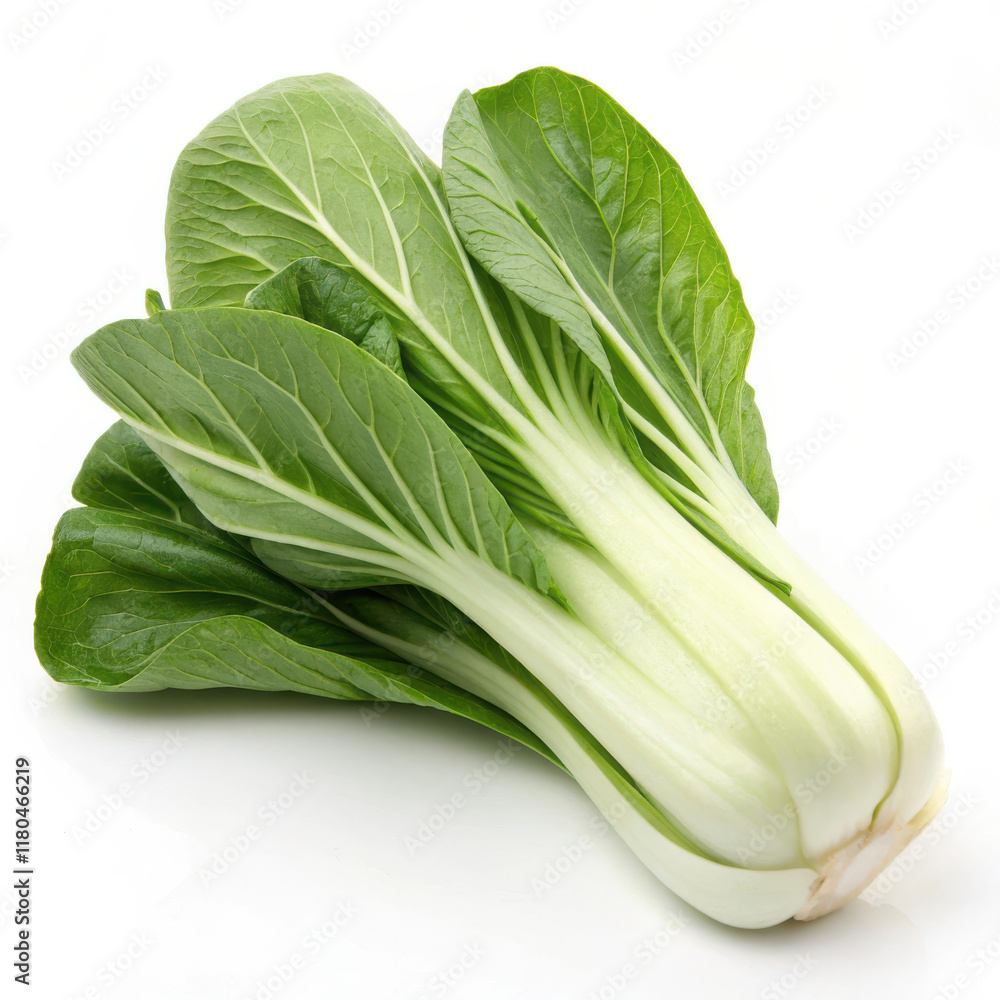 Fresh green bok choy with crisp leaves and vibrant appearance Fresh green bok choy with crisp leaves and vibrant appearance