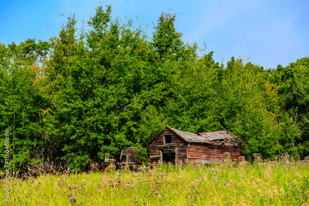 A small, dilapidated house sits in a field of grass A small, dilapidated house sits in a field of grass