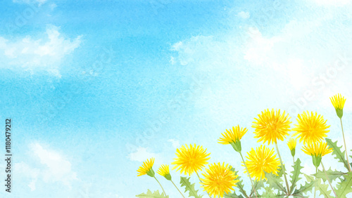 青空にタンポポの水彩イラスト