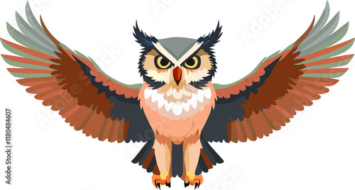 Owl, bird, transparent background