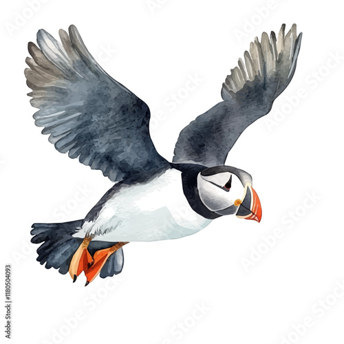 A watercolor illustration of a puffin diving into the ocean, isolated on a white background. Puffin ocean vector.
