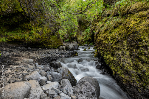 A river flows through a narrow canyon with trees and rocks in Iceland photo