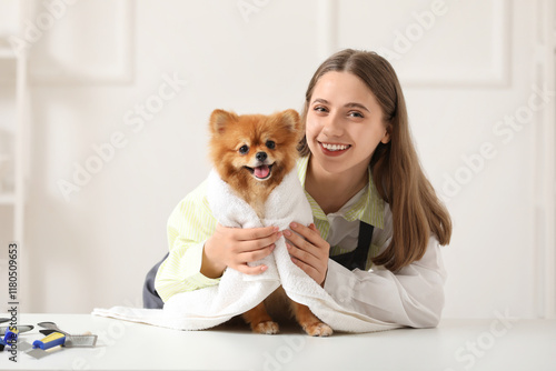 Female groomer wiping Pomer...