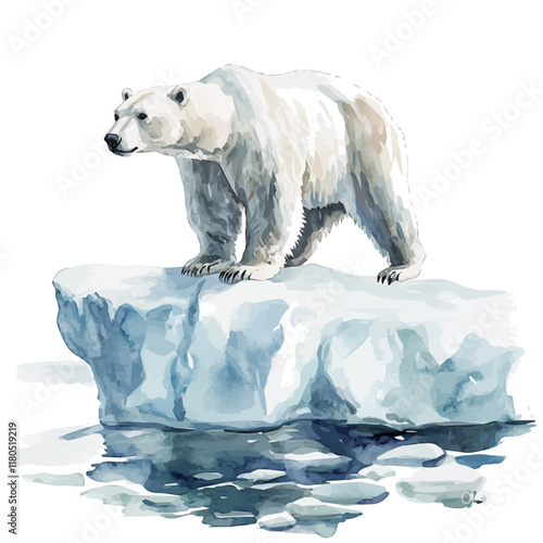 A watercolor drawing of a polar bear on an ice floe, isolated on a white background. Polar bear ice floe vector.
