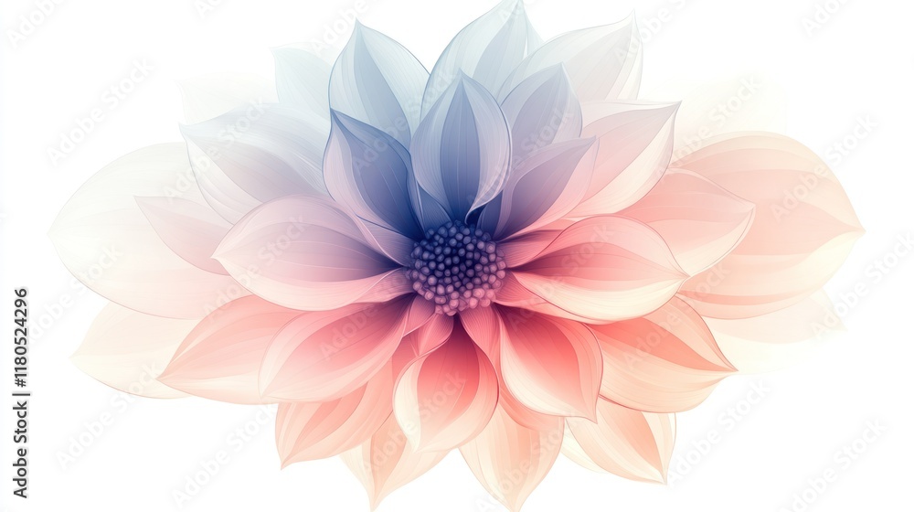 Obraz premium Pastel-colored flower with soft, translucent petals on white background.