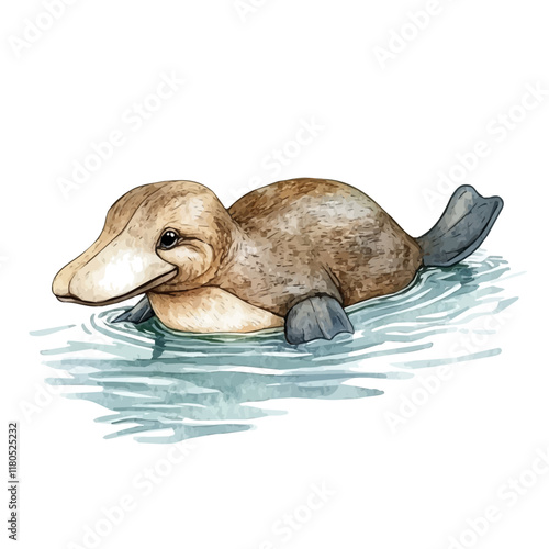 A watercolor painting of a platypus swimming in a river, isolated on a white background. Platypus river vector.
