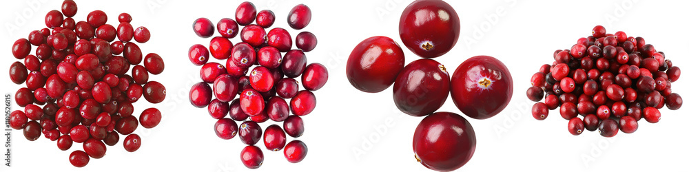 A collection of vibrant red cranberries displayed in various clusters, showcasing their glossy surface and rich color. A collection of vibrant red cranberries displayed in various clusters, showcasing their glossy surface and rich color.