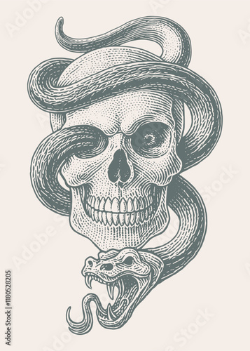 Skull head with snake wrapped around it.