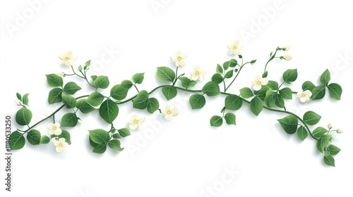 White flower vine with green leaves isolated on white background.