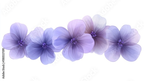 Delicate purple flowers isolated on white.