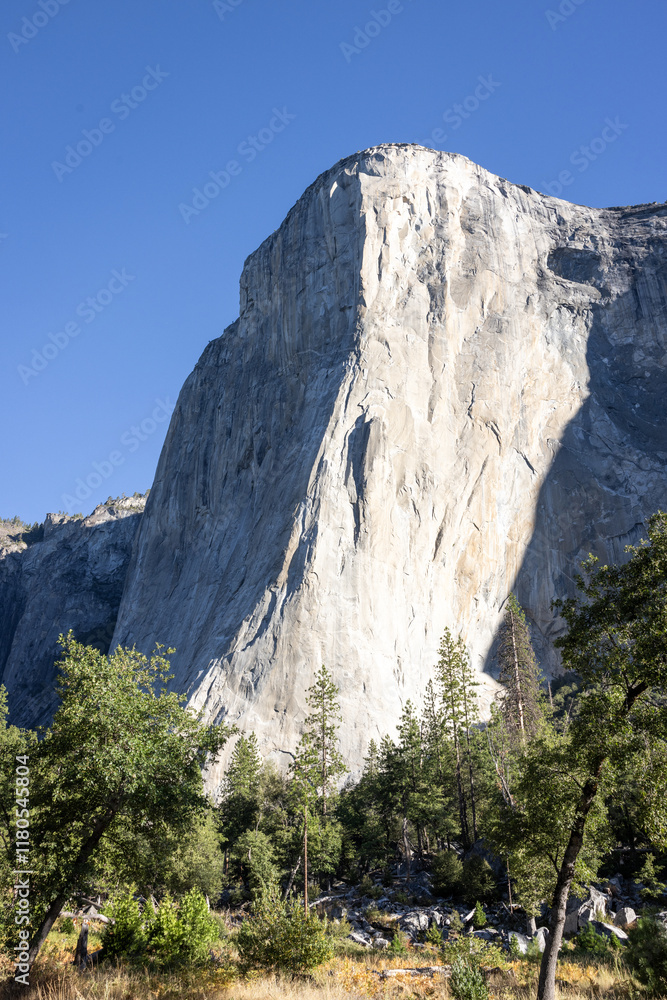 View of El Capitan in Yosemite National Park View of El Capitan in Yosemite National Park