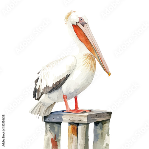 A watercolor painting of a pelican resting on a pier, isolated on a white background. Pelican pier vector.
