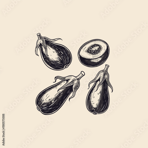 eggplant hand drawn design vector template