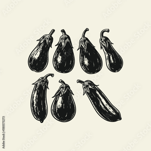 eggplant hand drawn design vector template