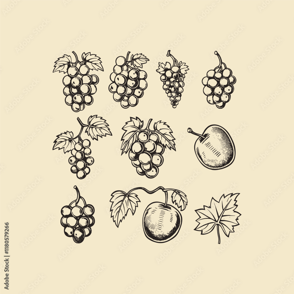 grape fruits hand drawn engraving design vector template grape fruits hand drawn engraving design vector template
