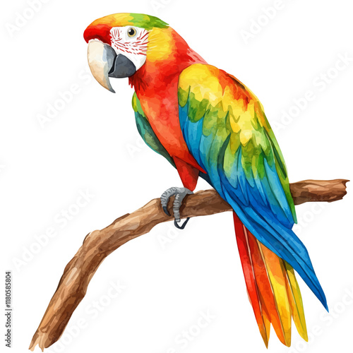 A watercolor of a parrot perched on a tropical branch, isolated on a white background. Parrot vector.
