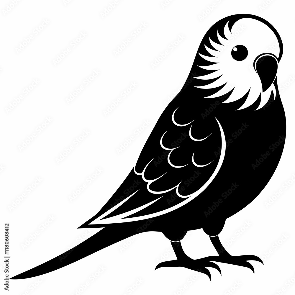 Budgerigar Silhouette Vector on White Budgerigar Silhouette Vector on White