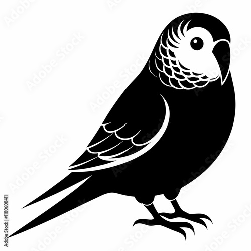 Budgerigar Silhouette Vector on White