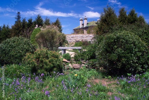 Plants and bushes surround a back view of the Eolia Mansion in Harkness Memorial Park. photo